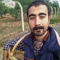 afusalan profil fotoğrafı