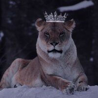 fezanurlcn profil fotoğrafı