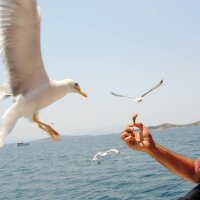 eskiben profil fotoğrafı