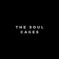 thesoulcages profil fotoğrafı