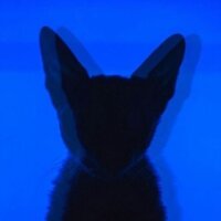 zeynepballm profil fotoğrafı