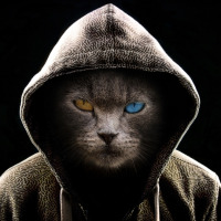 cakadur profil fotoğrafı