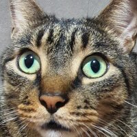 nil000 profil fotoğrafı
