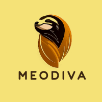 meodivadesign profil fotoğrafı