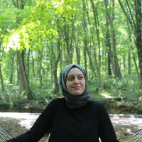 zynpylmz profil fotoğrafı