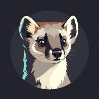 sansardev profil fotoğrafı