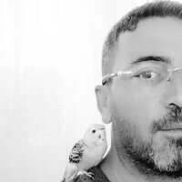 nurielgun profil fotoğrafı