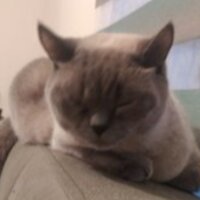 endersevim profil fotoğrafı