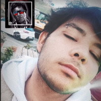 alifemal profil fotoğrafı