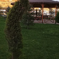 husayb profil fotoğrafı
