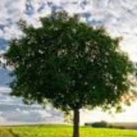 spss_amos profil fotoğrafı