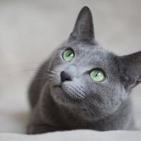 hakankeskin06 profil fotoğrafı
