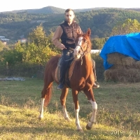 vascodagama profil fotoğrafı