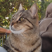 ers1071 profil fotoğrafı