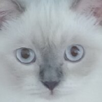 rainn3 profil fotoğrafı