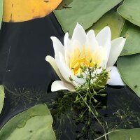 oztcagla profil fotoğrafı