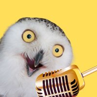 cigdemvoiceover profil fotoğrafı