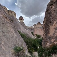 senemsun profil fotoğrafı