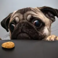charliees profil fotoğrafı