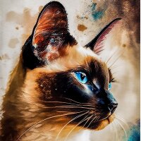 efdesign0 profil fotoğrafı