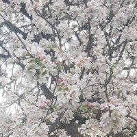 aridem profil fotoğrafı