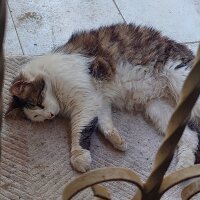busealtan1 profil fotoğrafı