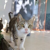 tecnicmanic profil fotoğrafı