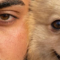 oguzziroglu profil fotoğrafı