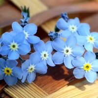hasretatabey profil fotoğrafı