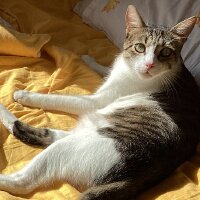 tuanakaradeniz1 profil fotoğrafı