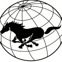 emreiren profil fotoğrafı