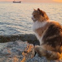 yusufeymenycdg profil fotoğrafı