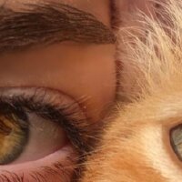 mervenurtoprak profil fotoğrafı