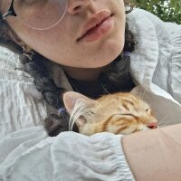 ttubitub profil fotoğrafı