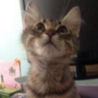 bilnur2001 profil fotoğrafı