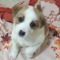 emrecanozden profil fotoğrafı