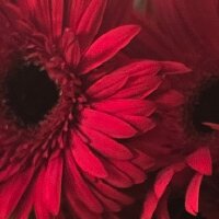 azkdijital profil fotoğrafı