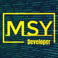 msydeveloper profil fotoğrafı