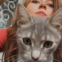 dutdutdora profil fotoğrafı