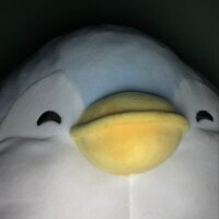 henamoly profil fotoğrafı