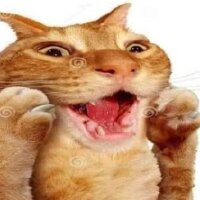 aynuww profil fotoğrafı