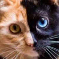 glsnkls profil fotoğrafı