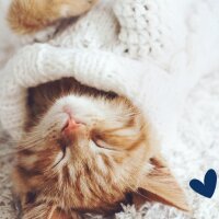 pelinkunculu profil fotoğrafı