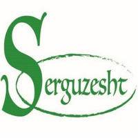 serguzesht profil fotoğrafı