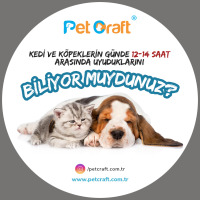 petcraft profil fotoğrafı