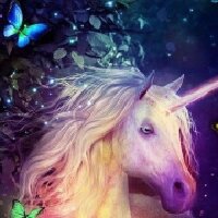 nilnsrtt profil fotoğrafı