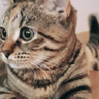 simayada profil fotoğrafı