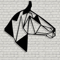 trader profil fotoğrafı