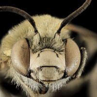 aytacdursun profil fotoğrafı