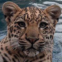 rektque profil fotoğrafı